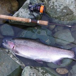 天竜川ルアーフライ専用区